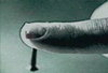 6613sbqtx46srm.gif